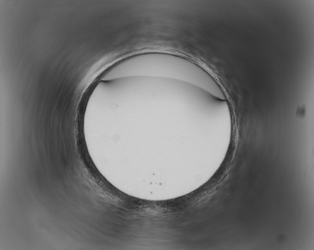 X0000116510199201001061230