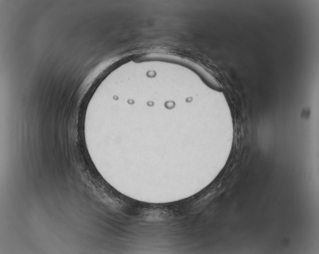 X0000116510200201001061230