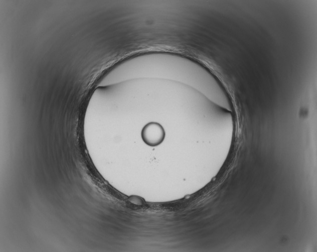 X0000116510201201001061230