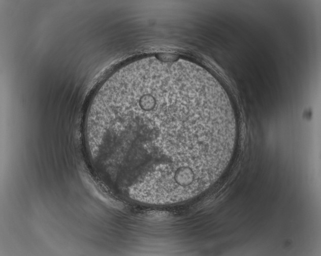 X0000116510203201001061230