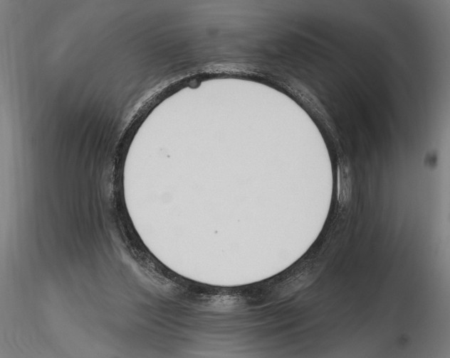 X0000116510204201001061230
