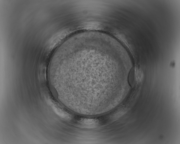 X0000116510205201001061230
