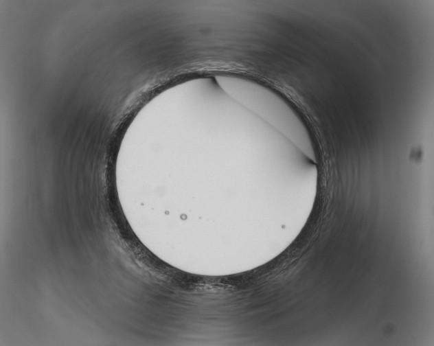 X0000116510207201001061230