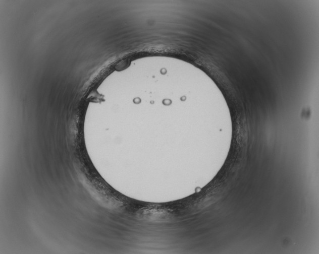 X0000116510208201001061230