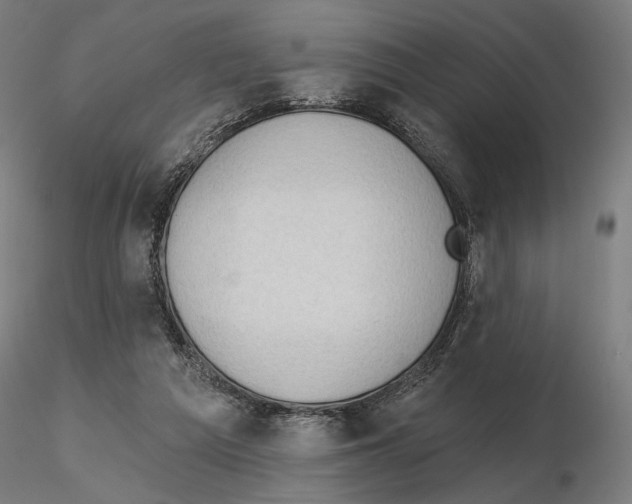 X0000116510209201001061230