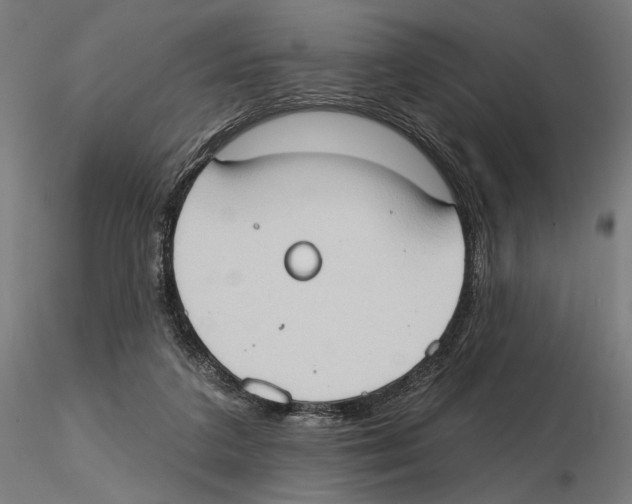 X0000116510211201001061230