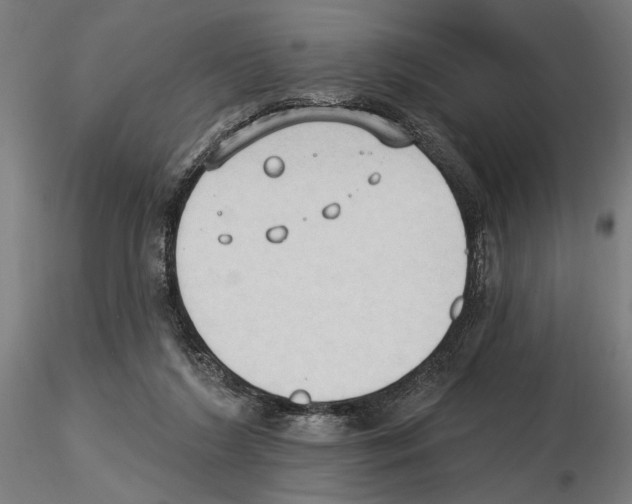 X0000116510212201001061230