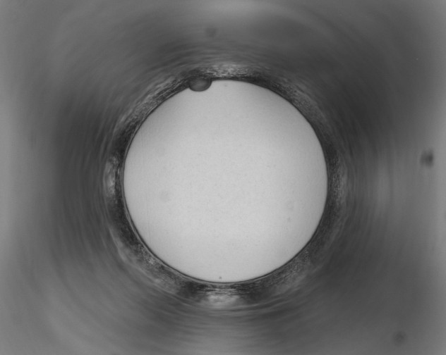 X0000116510214201001061230