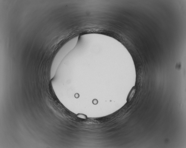 X0000116510215201001061230