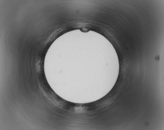 X0000116510216201001061230