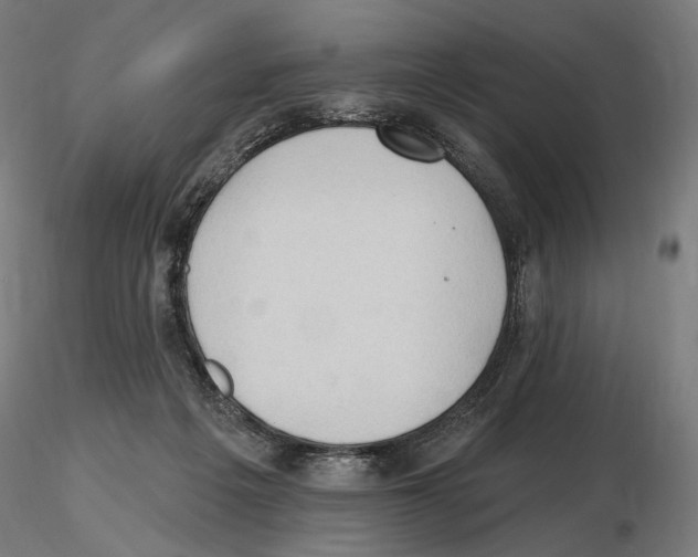 X0000116510217201001061230