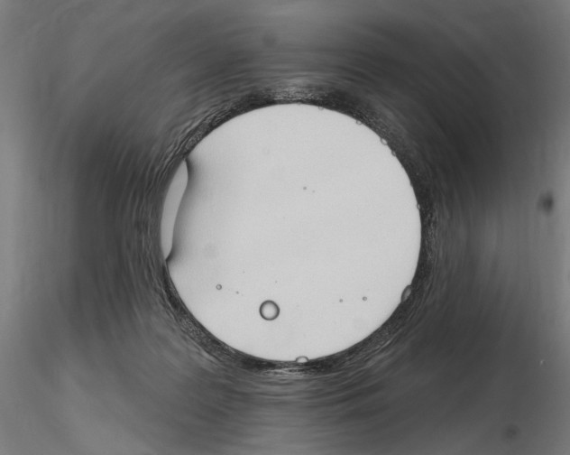 X0000116510219201001061230