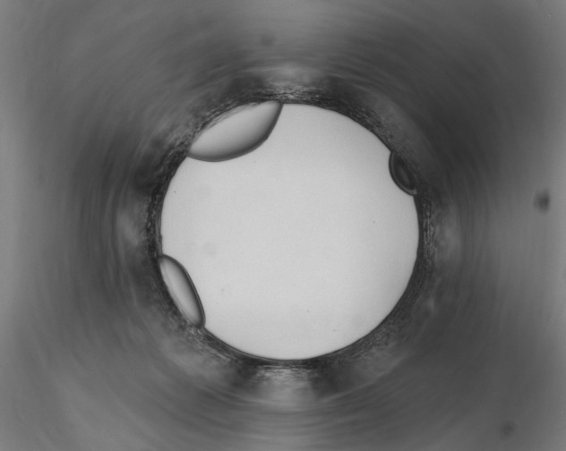 X0000116510221201001061230