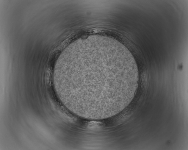 X0000116510222201001061230
