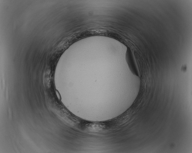 X0000116510223201001061230