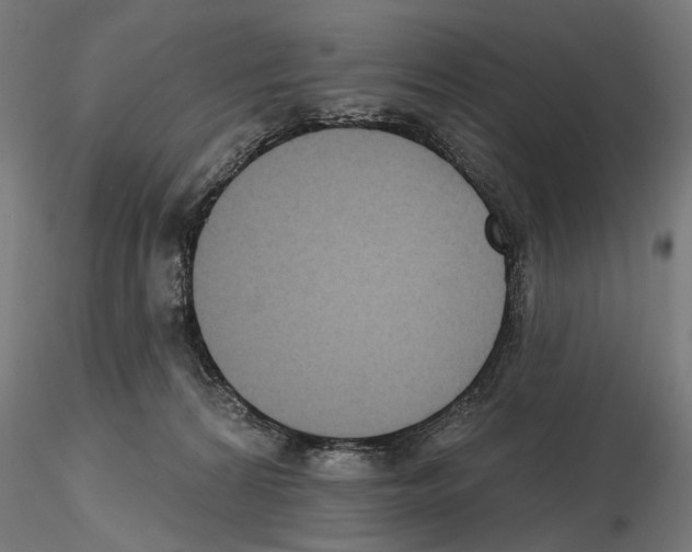 X0000116510224201001061230
