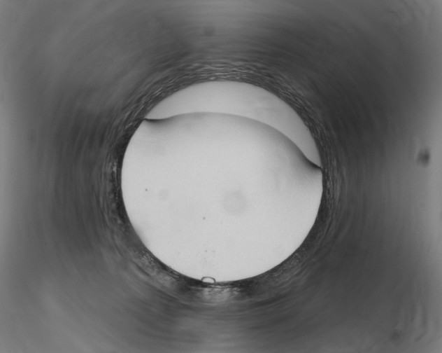 X0000116510225201001061230