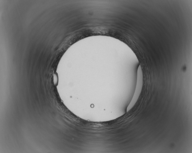 X0000116510229201001061230