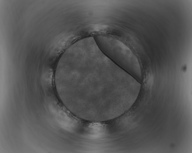 X0000116510231201001061229
