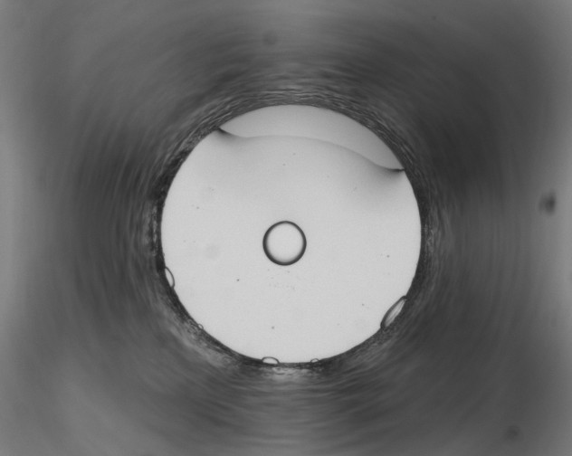 X0000116510233201001061229