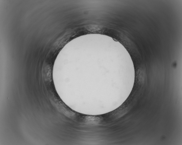 X0000116510234201001061229