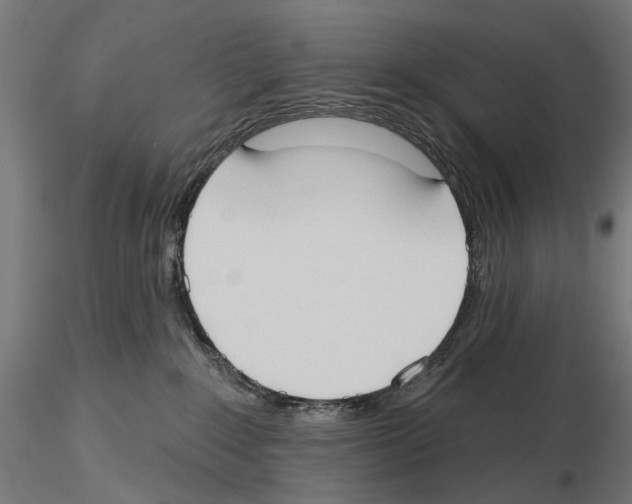 X0000116510235201001061229