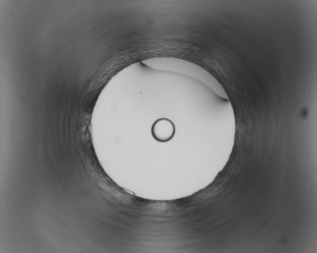 X0000116510237201001061229