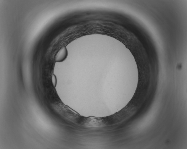 X0000116510239201001061229