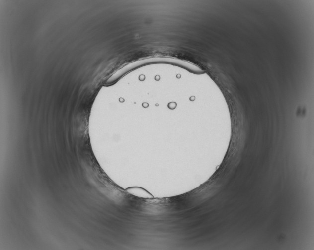 X0000116510240201001061229