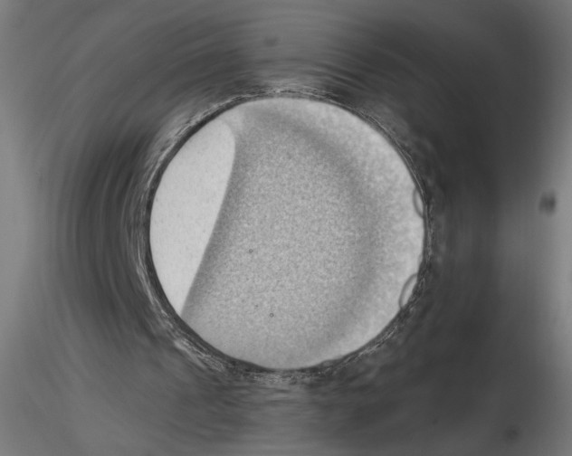 X0000116510241201001061229