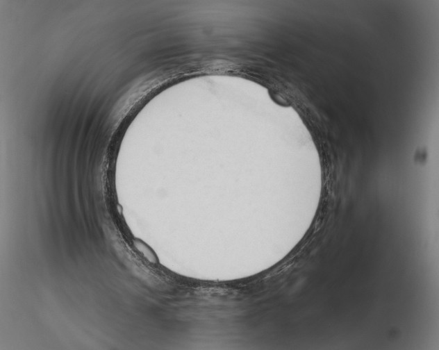 X0000116510242201001061229