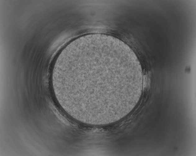 X0000116510243201001061229