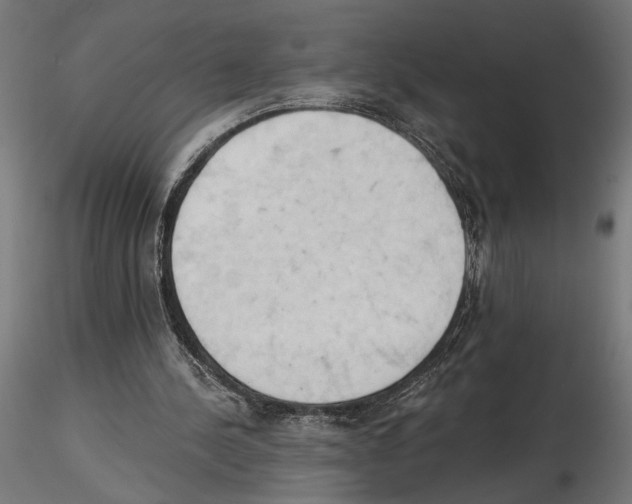 X0000116510244201001061229