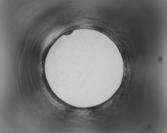 X0000116510245201001061229