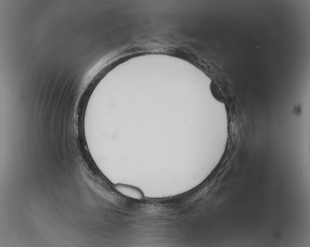 X0000116510246201001061229