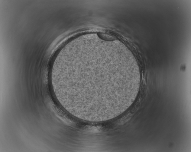 X0000116510247201001061229