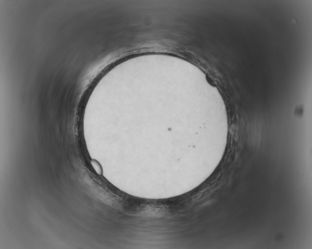 X0000116510248201001061229