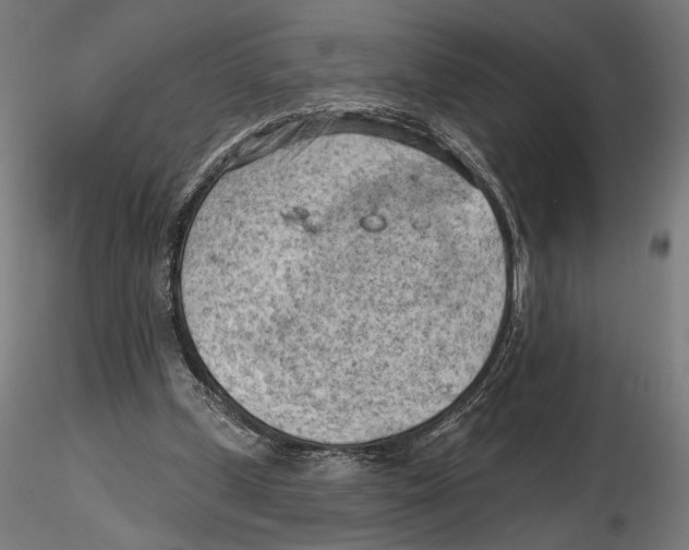 X0000116510249201001061229