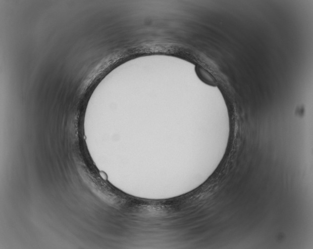 X0000116510250201001061229