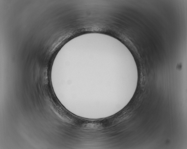 X0000116510251201001061229