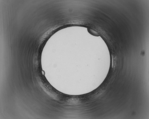 X0000116510252201001061229