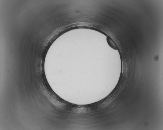 X0000116510253201001061229