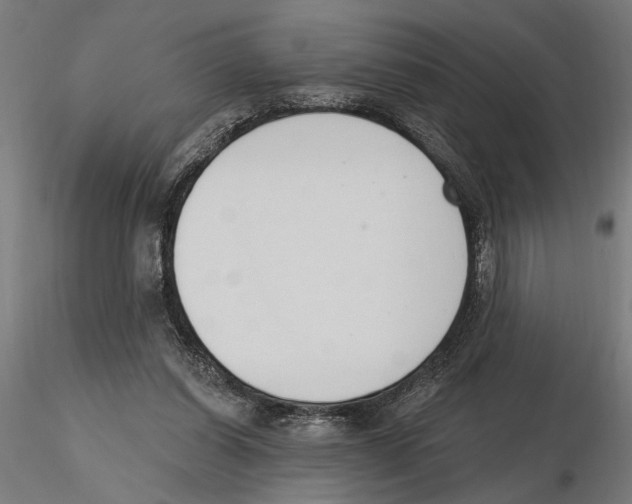 X0000116510254201001061229