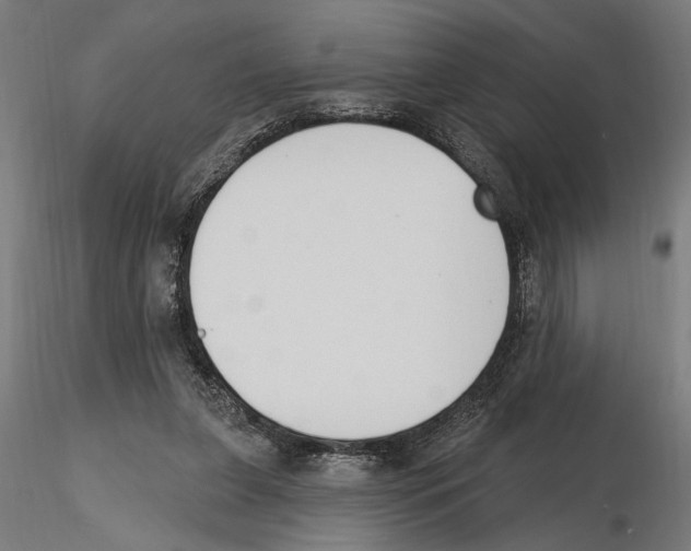 X0000116510255201001061229