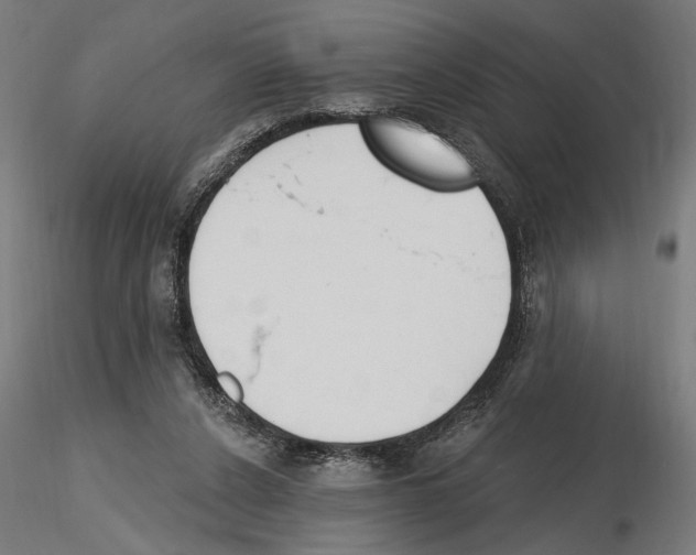 X0000116510256201001061229