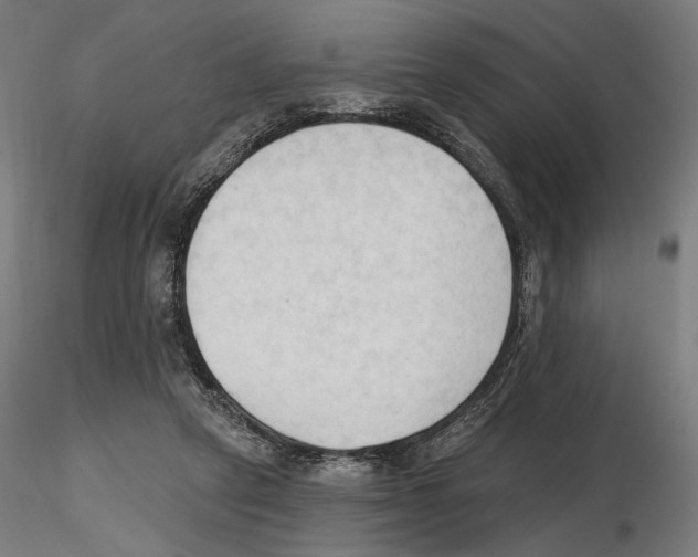 X0000116510257201001061229
