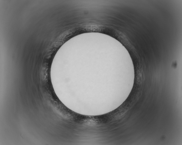 X0000116510259201001061229