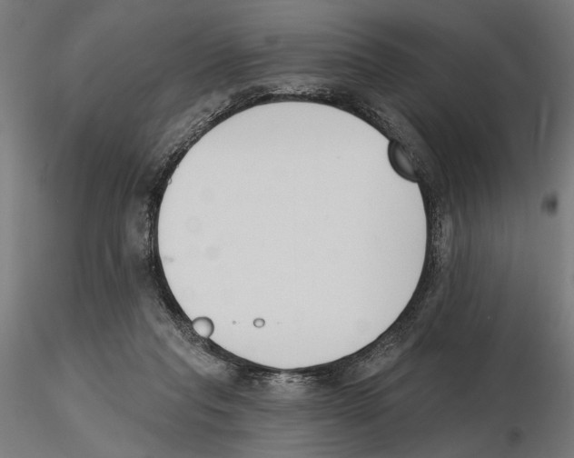 X0000116510261201001061229