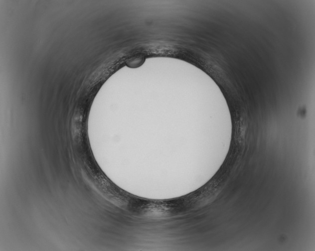 X0000116510263201001061229