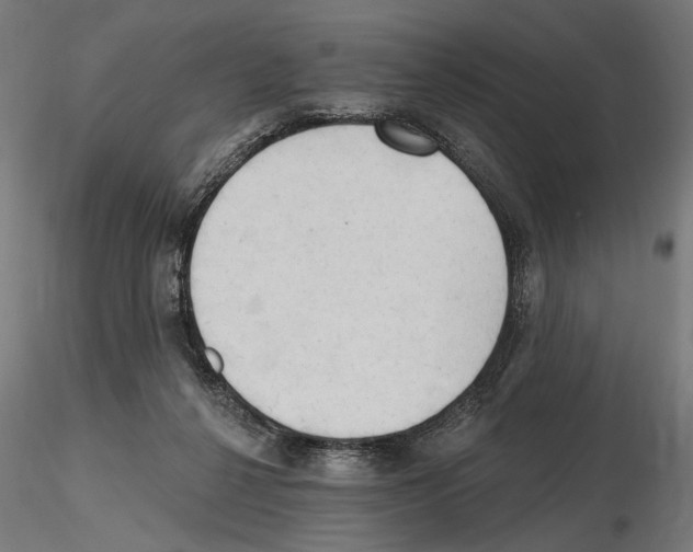 X0000116510264201001061229